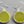 Load image into Gallery viewer, Large circle seaglass earring - lime