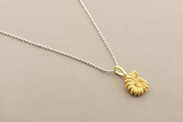 Gold shell pendant on a silver chain against a gray background