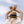 Load image into Gallery viewer, Panama Hat - Hass - Tobacco - Makers & Providers