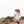 Load image into Gallery viewer, Panama Hat - Borsalino - Tobacco - Makers & Providers