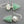 Load image into Gallery viewer, aventurine moonstone earrings