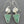 Load image into Gallery viewer, aventurine moonstone earrings