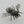 Load image into Gallery viewer, bee broach - sterling silver - Makers & Providers
