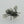 Load image into Gallery viewer, bee broach - sterling silver - Makers & Providers