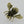 Load image into Gallery viewer, Bee brooch - brass - Makers & Providers