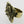 Load image into Gallery viewer, nugget ring - brass - Makers & Providers