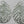 Load image into Gallery viewer, oval web earring - Makers & Providers