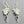 Load image into Gallery viewer, silver moonstone earrings