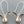 Load image into Gallery viewer, Rose hip drop earring - rose gold on silver - Makers & Providers