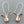 Load image into Gallery viewer, Rose hip drop earring - rose gold on silver - Makers & Providers