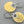 Load image into Gallery viewer, Lace-coral disc earring - 22Kt gold over silver - Makers & Providers