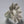 Load image into Gallery viewer, large daisy ring - Makers & Providers