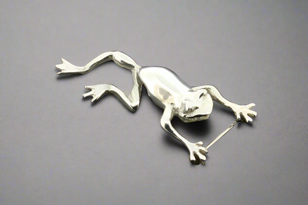 Silver frog brooch on a dark gray background