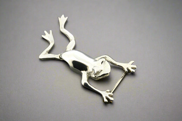 Silver frog pendant on a dark gray background
