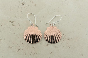 Small copper scallop shell earrings - Makers & Providers