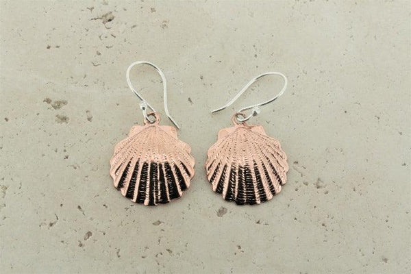 Small copper scallop shell earrings