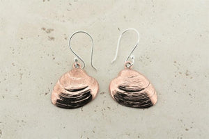 Small copper pipi shell earrings - Makers & Providers