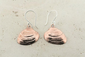 Small copper pipi shell earrings - Makers & Providers