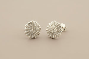 Pair of silver ammonite fossil stud earrings on a gray background