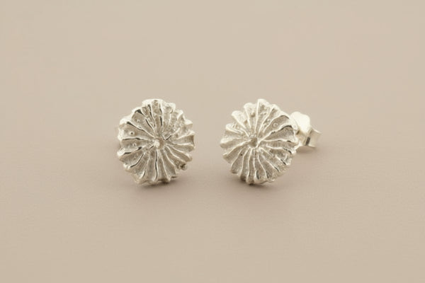 Pair of silver ammonite fossil stud earrings on a gray background