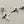 Load image into Gallery viewer, Silver star-shaped earrings with skull designs on a gray background
