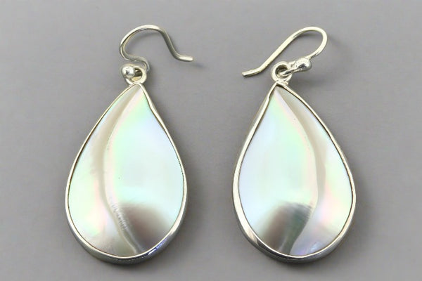 nautilus shell earring - sterling silver