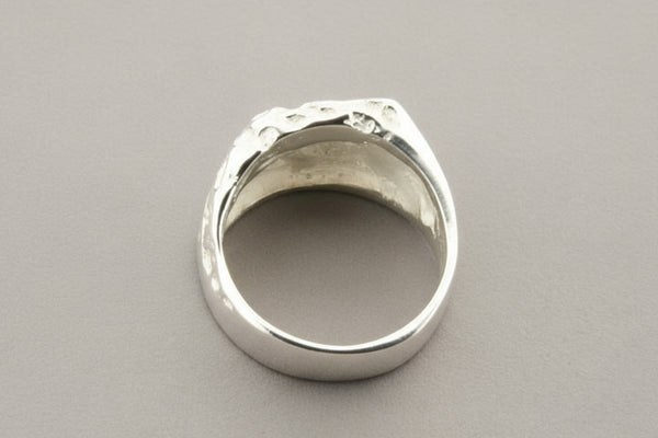 Silver ring on a gray background