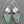 Load image into Gallery viewer, aventurine moonstone earrings
