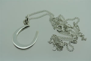 clean horse shoe pendant on 55cm link chain - Makers & Providers