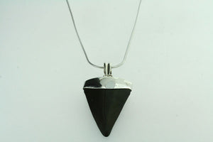 fossilised shark tooth pendant - large on 60cm link chain - Makers & Providers