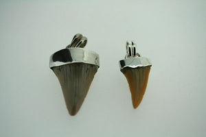 fossilised shark tooth pendant - small on 60cm link chain - Makers & Providers