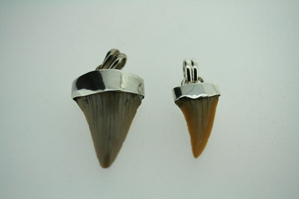 fossilised shark tooth pendant - small on 60cm link chain