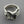 Load image into Gallery viewer, small ox clam ring - Makers &amp; Providers
