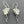 Load image into Gallery viewer, silver moonstone earrings
