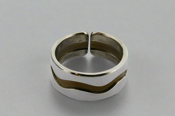 Swerve titanium/silver ring - earth - sterling silver and titanium - Makers & Providers