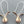 Load image into Gallery viewer, Rose hip drop earring - rose gold on silver - Makers &amp; Providers
