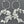 Load image into Gallery viewer, 2 Strand Multi Leaf Hoop Earrings in Sterling Silver - Makers &amp; Providers
