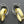 Load image into Gallery viewer, double oval ribbon earring - gold plated - Makers &amp; Providers

