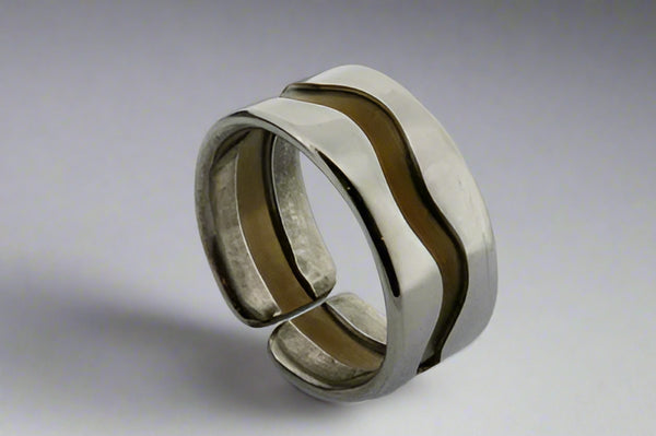 Swerve titanium/silver ring - earth - sterling silver and titanium - Makers & Providers