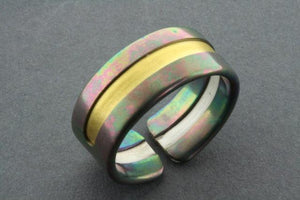 line ring - rainbow titanium with gold line - sterling silver and titanium - Makers & Providers